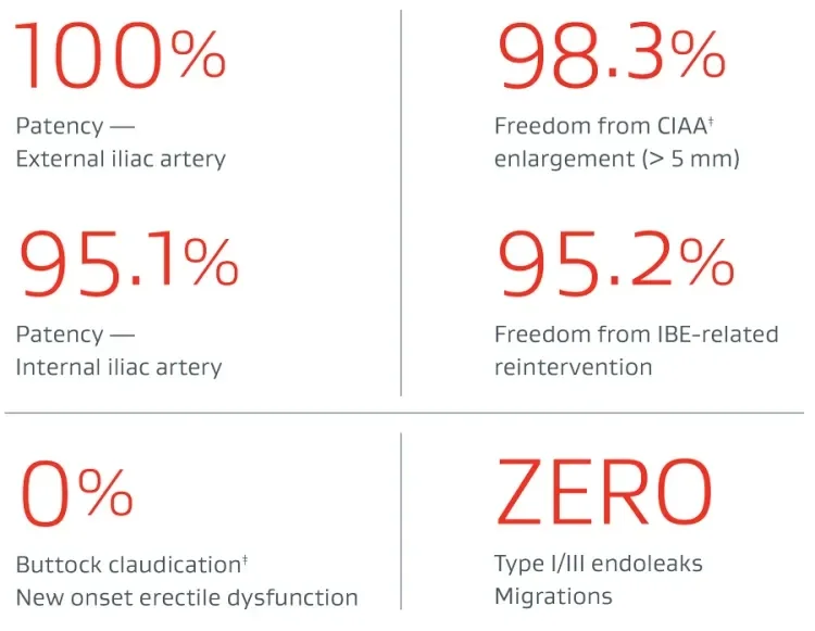 5 year data infographic