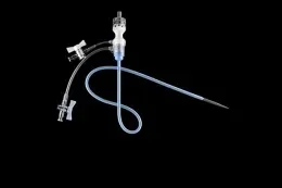 GORE DrySeal Flex Introducer Sheath