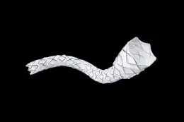 Product image of the VBX Stent Graft