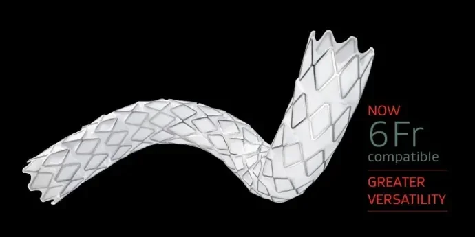 Product image of VBX Stent Graft. Now six French compatible