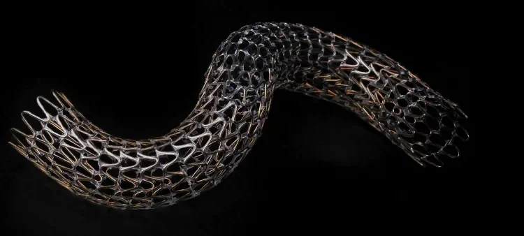 GORE TIGRIS Vascular Stent