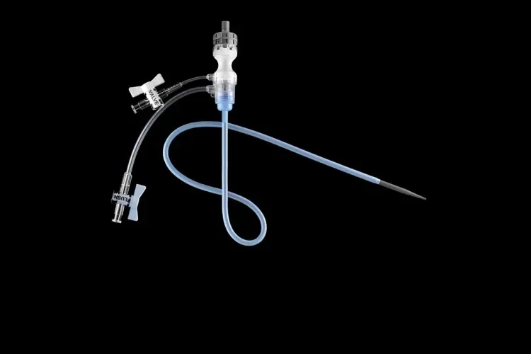 GORE DrySeal Flex Introducer Sheath