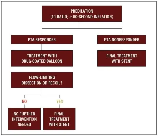 Figure 1. Treatment algorithm for lesions in the superficial femoral artery or popliteal artery.