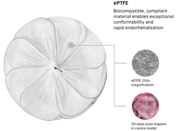 GORE CARDIOFORM ASD Occluder with callouts of material magnified 250 times and device 30 days post-implant in canine model.