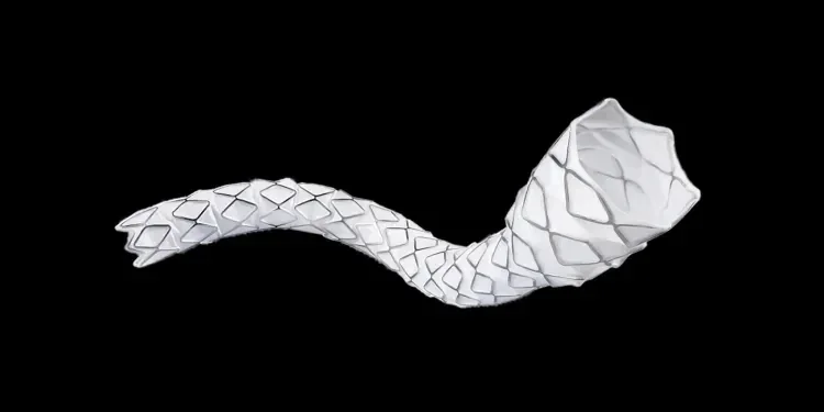 Product image of the VBX Stent Graft