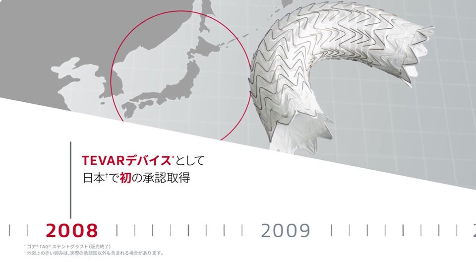 TEVARのパイオニアとして世界で25年 日本で15年 | 日本ゴア メディカル製品