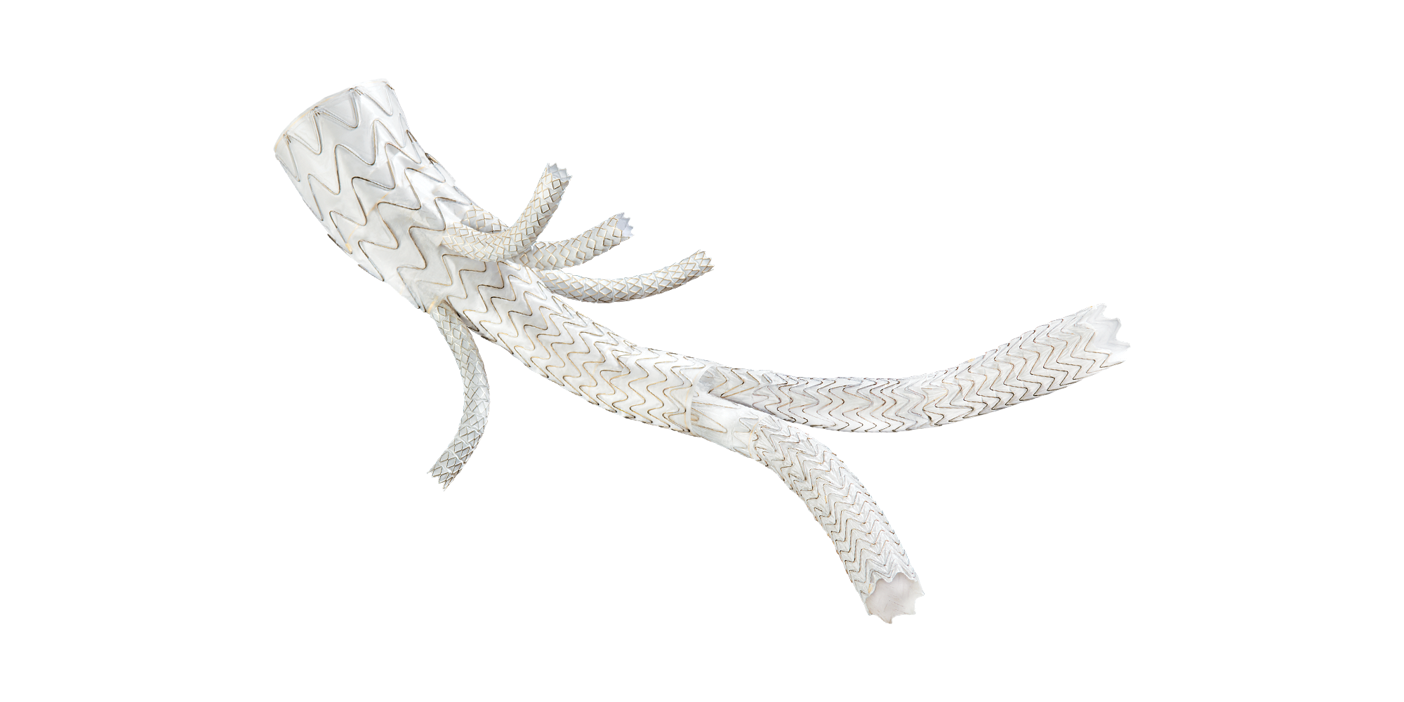 GORE® EXCLUDER® Thoracoabdominal Branch Endoprosthesis (TAMBE) | Gore ...