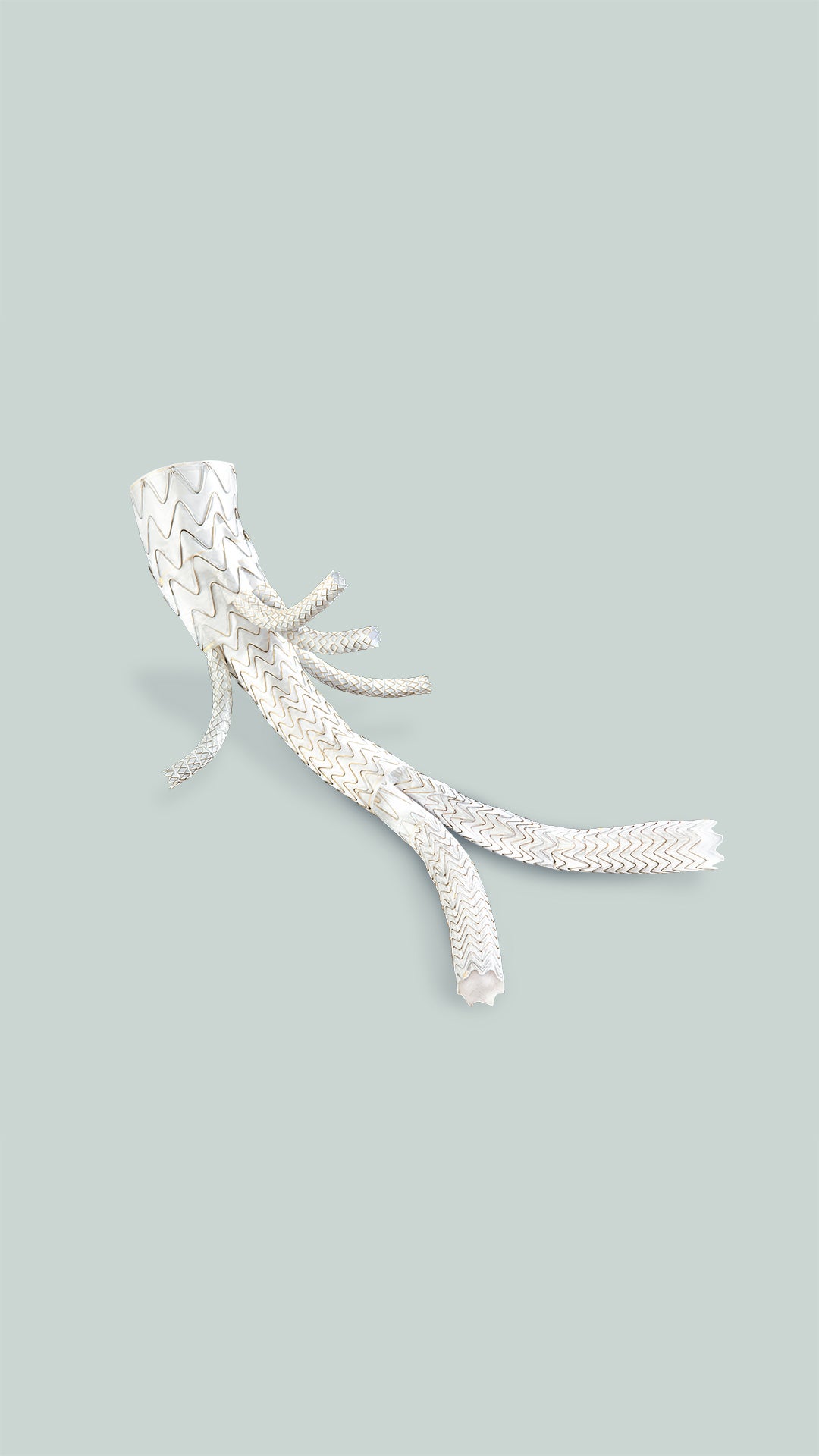 GORE® EXCLUDER® Thoracoabdominal Branch Endoprosthesis (TAMBE) device product photo