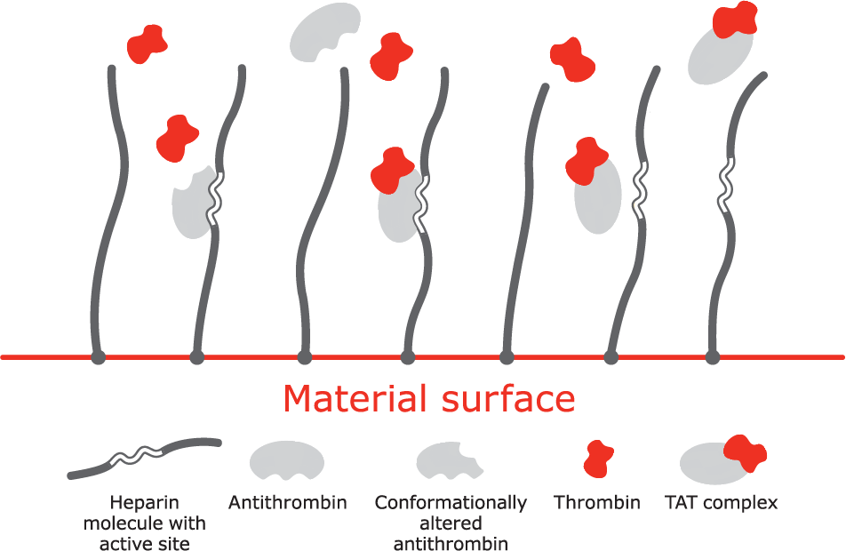 Mechanism of action