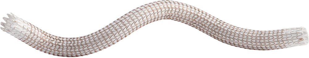 GORE® VIABAHN® Endoprosthesis with Heparin Bioactive Surface