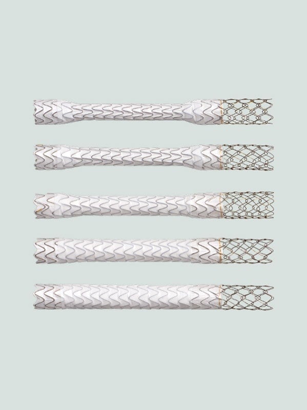 Comparison image showing five covered stent grafts with uncovered metal mesh extensions, each illustrating a different expansion diameter. The devices are displayed horizontally, demonstrating progressive increases in lumen size.