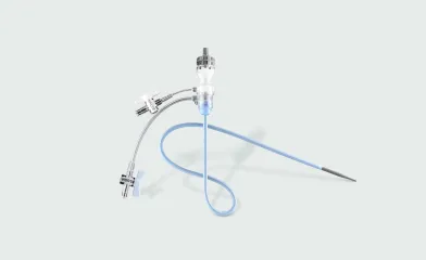 Product photograph of the GORE® DRYSEAL Flex Introducer Sheath