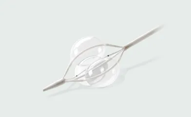 aortic tri lobe balloon catheter