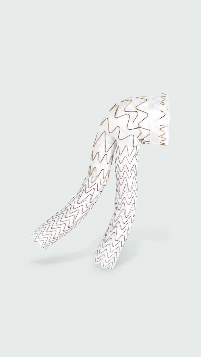 aortic excluder conformable