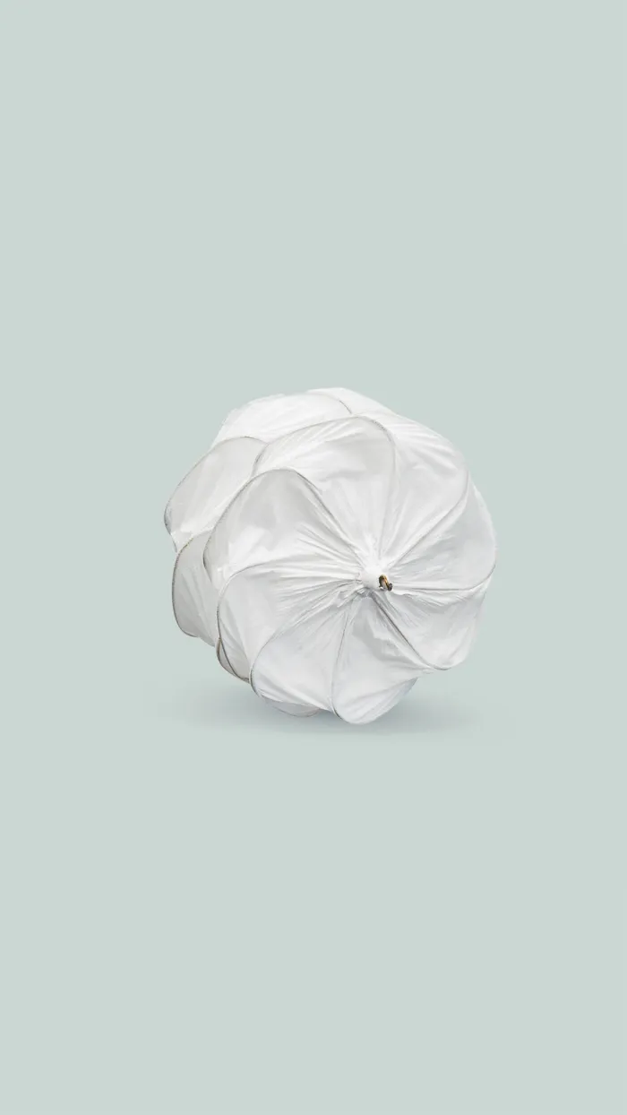 GORE® CARDIOFORM ASD Occluder