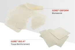 Two medical device products: multiple sizes of 'GORE ENFORM Biomaterial' and a single size of 'GORE BIO-A Tissue Reinforcement' in the lower right corner.