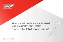 Text reads: What unmet needs were addressed with the GORE® EXCLUDER® Conformable AAA Endoprosthesis?