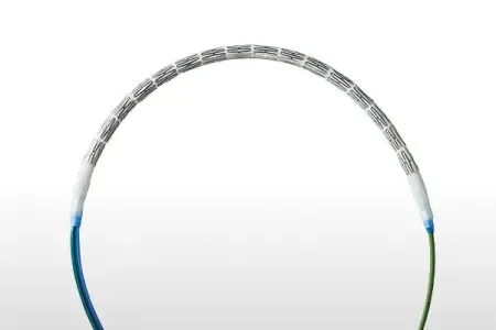 Image of VBX Stent Grafts on wire