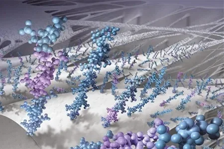 Illustration of Heparin Surface