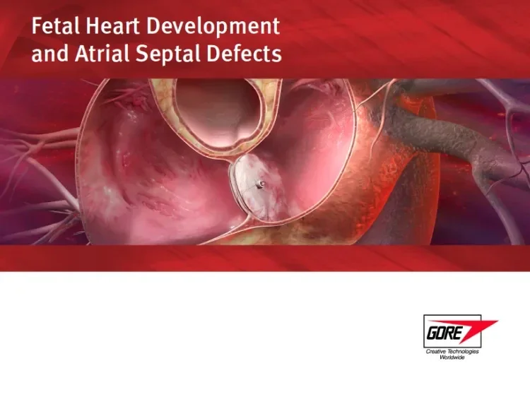 Fetal Heart Development and Atrial Septal Defects