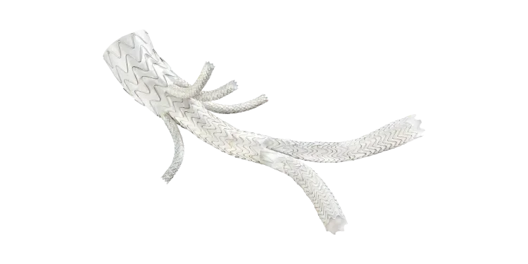 GORE® EXCLUDER® Thoracoabdominal Branch Endoprothesis
