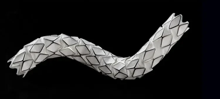 Product image of the VBX Stent Graft